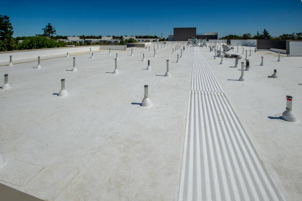 Best Roof Coating and Sealing  in Augusta, GA